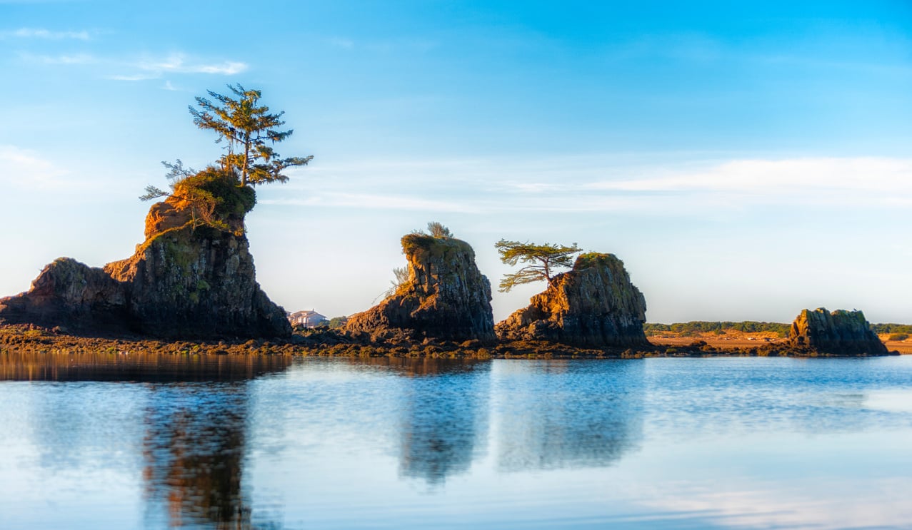 Coastal Intertidal rock in Lincoln City Oregon